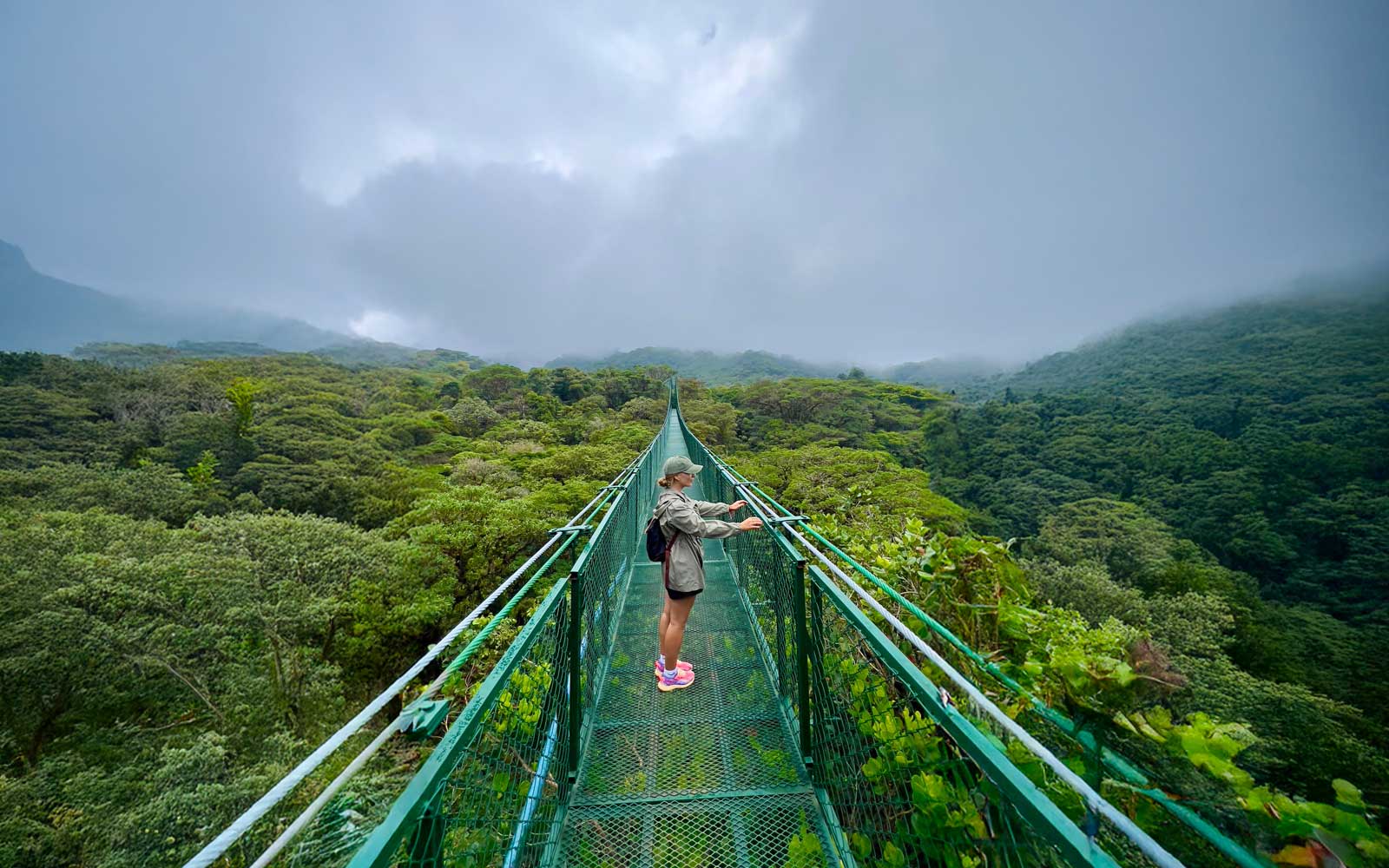 Central American Rainforest